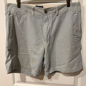 American Eagle Outfitters Light Blue & White Seersucker Flat Front Shorts